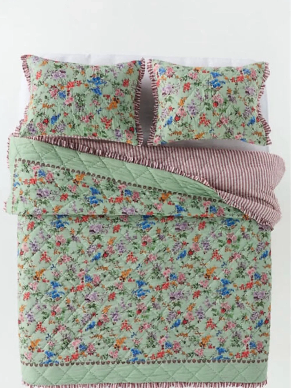 Anthropologie Cotton Voile Floral Printed Ruffle Shams, Set of 2, King